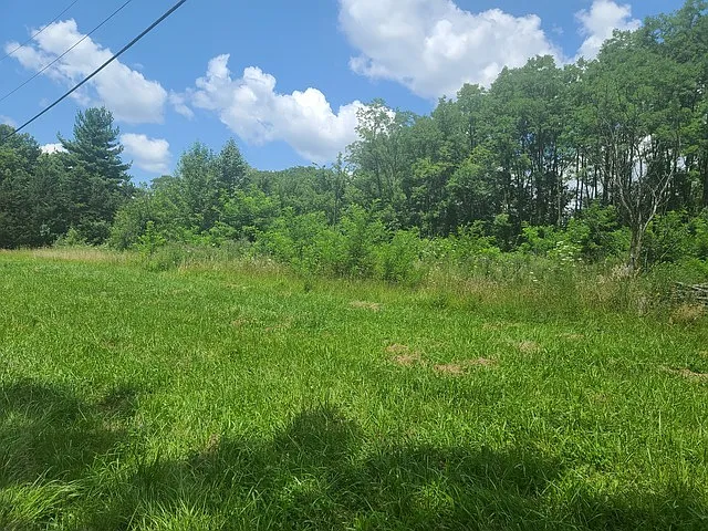 الشؤون المالية